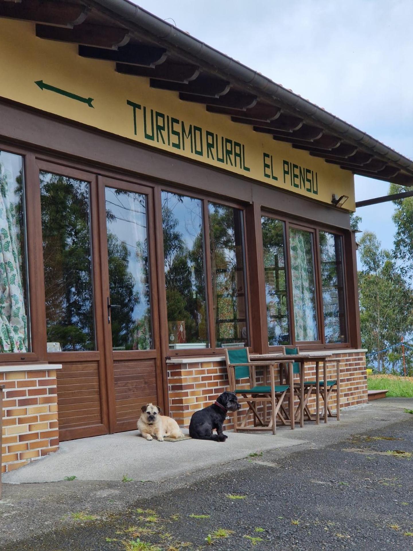 Turismo Rural El Piensu บีญาวิซิโอซา ภายนอก รูปภาพ