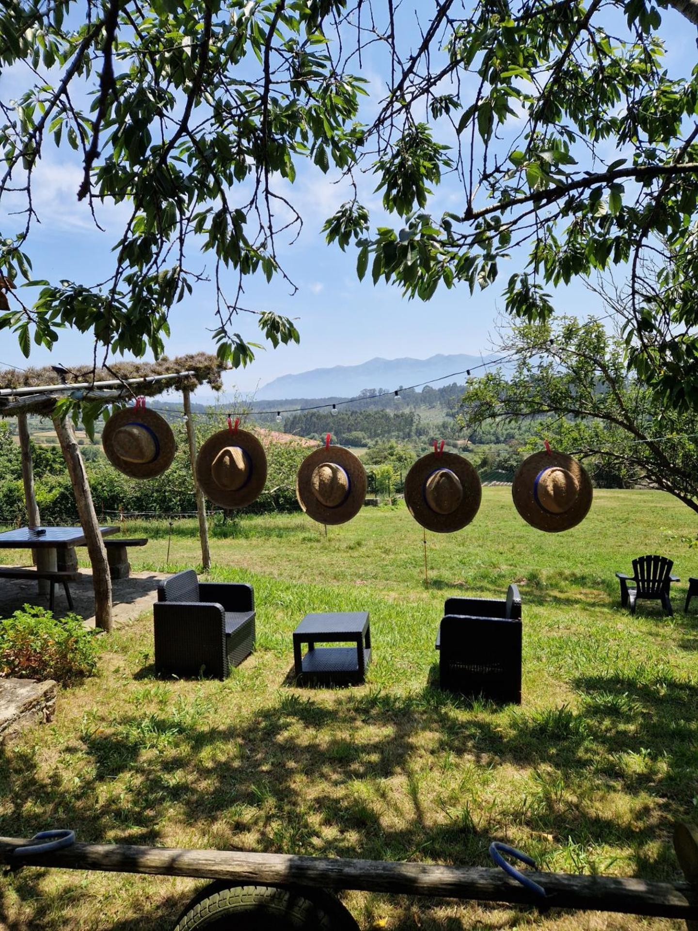 Turismo Rural El Piensu บีญาวิซิโอซา ภายนอก รูปภาพ