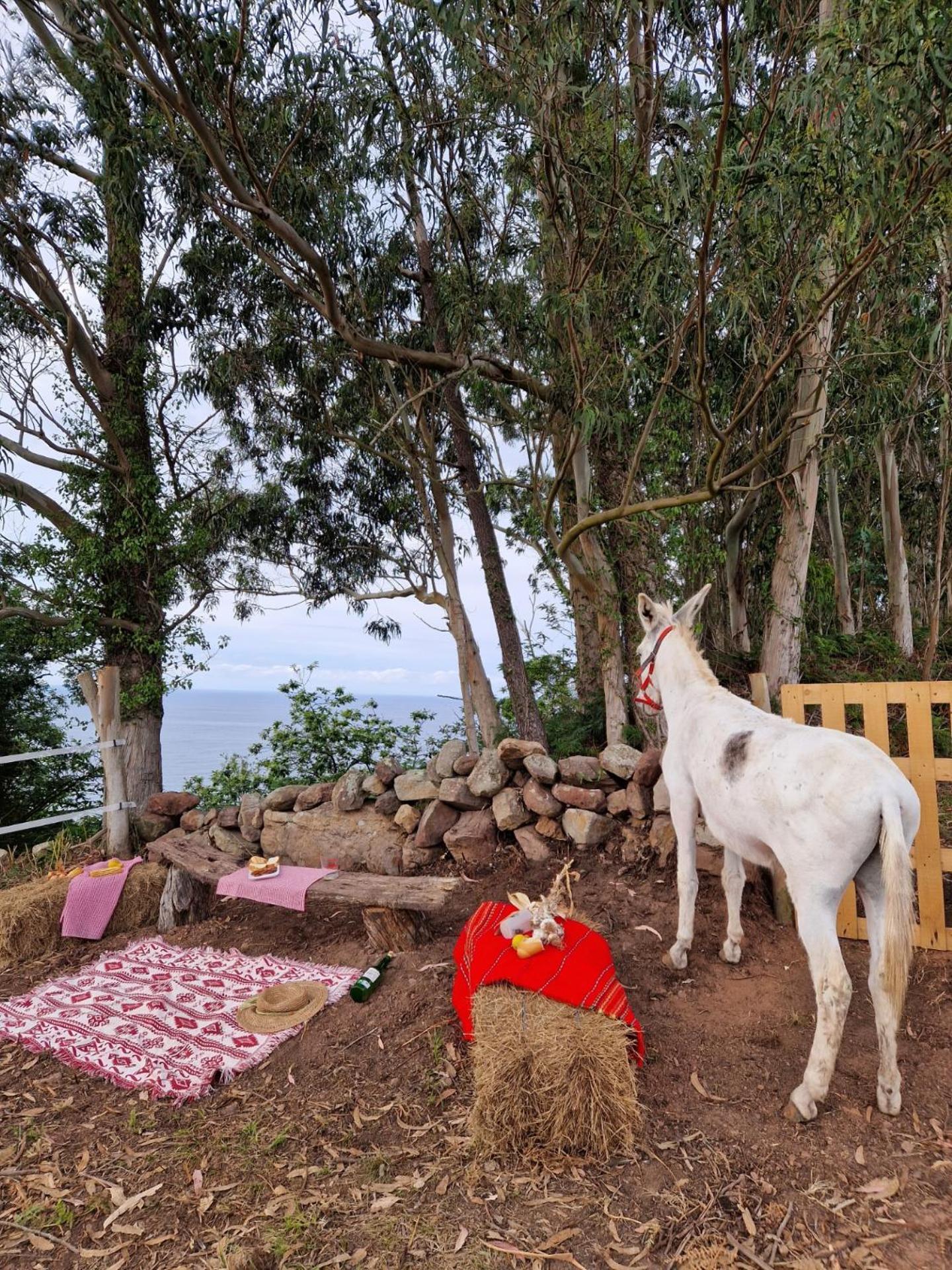 Turismo Rural El Piensu บีญาวิซิโอซา ภายนอก รูปภาพ